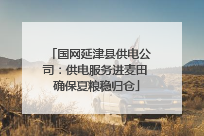 国网延津县供电公司：供电服务进麦田 确保夏粮稳归仓