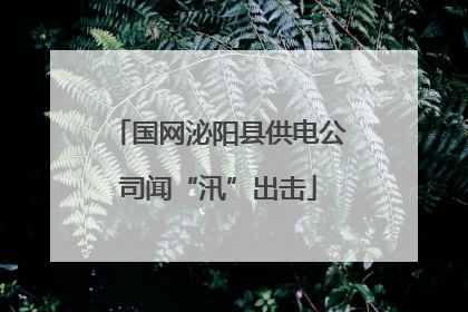 国网泌阳县供电公司闻“汛”出击