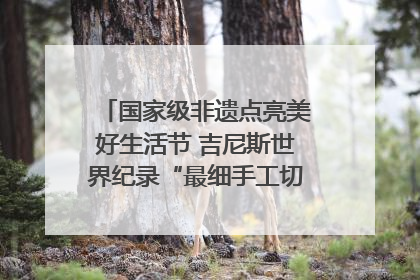 国家级非遗点亮美好生活节 吉尼斯世界纪录“最细手工切面”邀您来品！｜美好生活有“盐”味