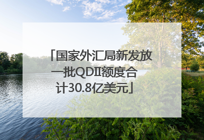 国家外汇局新发放一批QDII额度合计30.8亿美元