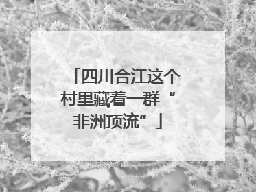 四川合江这个村里藏着一群“非洲顶流”
