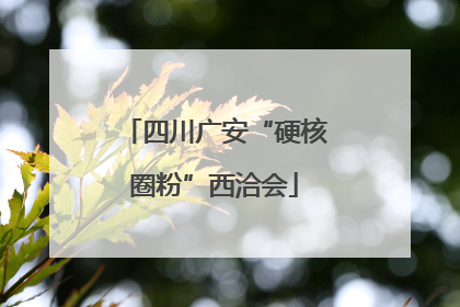 四川广安“硬核圈粉”西洽会
