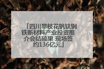 四川攀枝花钒钛钢铁新材料产业投资推介会结硕果 现场签约136亿元
