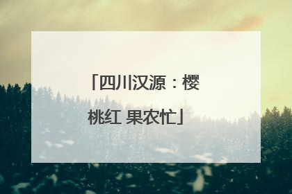四川汉源：樱桃红 果农忙