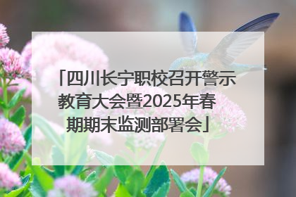 四川长宁职校召开警示教育大会暨2025年春期期末监测部署会