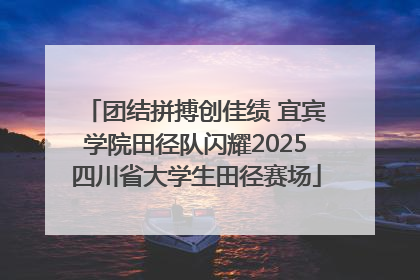 团结拼搏创佳绩 宜宾学院田径队闪耀2025四川省大学生田径赛场