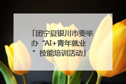 团宁夏银川市委举办“AI+青年就业”技能培训活动