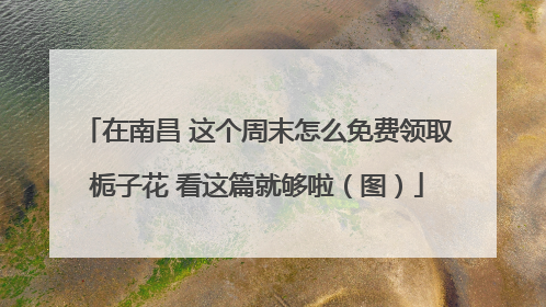 在南昌 这个周末怎么免费领取栀子花 看这篇就够啦（图）
