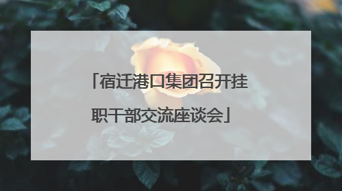 宿迁港口集团召开挂职干部交流座谈会