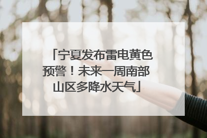 宁夏发布雷电黄色预警！未来一周南部山区多降水天气