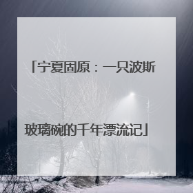 宁夏固原：一只波斯玻璃碗的千年漂流记