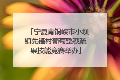宁夏青铜峡市小坝镇先锋村葡萄整穗疏果技能竞赛举办