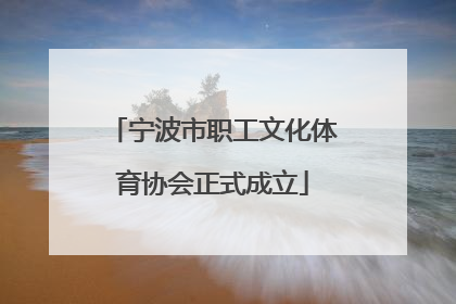 宁波市职工文化体育协会正式成立