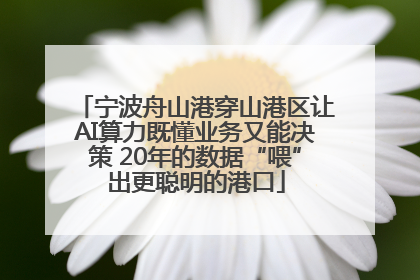 宁波舟山港穿山港区让AI算力既懂业务又能决策 20年的数据“喂”出更聪明的港口