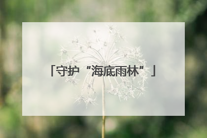 守护“海底雨林”