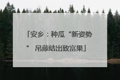 安乡：种瓜“新姿势” 吊藤结出致富果