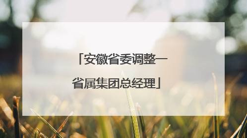 安徽省委调整一省属集团总经理