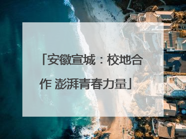 安徽宣城：校地合作 澎湃青春力量