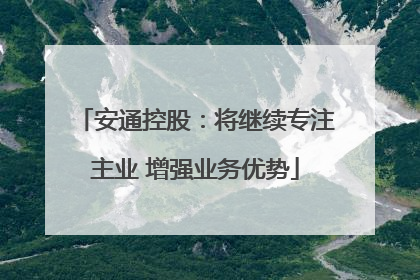 安通控股：将继续专注主业 增强业务优势