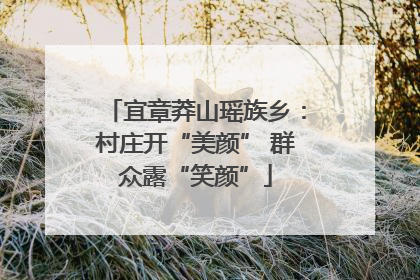 宜章莽山瑶族乡：村庄开“美颜” 群众露“笑颜”