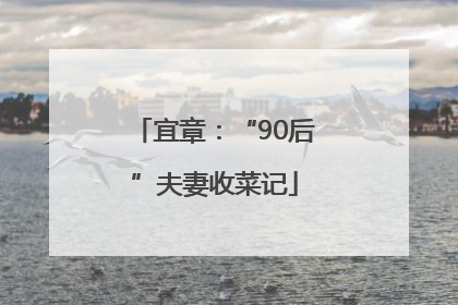 宜章：“90后”夫妻收菜记