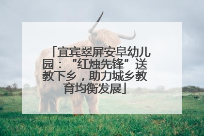 宜宾翠屏安阜幼儿园：“红烛先锋”送教下乡，助力城乡教育均衡发展