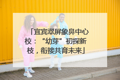 宜宾翠屏象鼻中心校：“幼芽”初探新枝，衔接共育未来