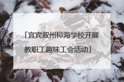 宜宾叙州樟海学校开展教职工趣味工会活动