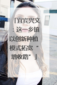 宜宾兴文：这一乡镇以创新种植模式拓宽“增收路”