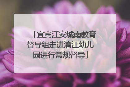 宜宾江安城南教育督导组走进淯江幼儿园进行常规督导