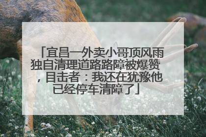 宜昌一外卖小哥顶风雨独自清理道路路障被爆赞，目击者：我还在犹豫他已经停车清障了