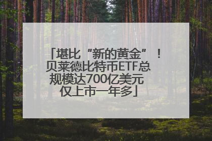 堪比“新的黄金”！贝莱德比特币ETF总规模达700亿美元 仅上市一年多