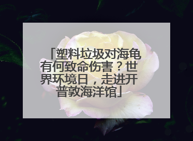 塑料垃圾对海龟有何致命伤害？世界环境日，走进开普敦海洋馆