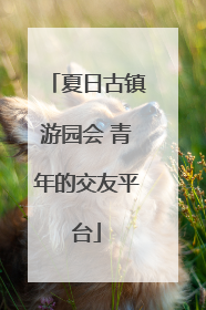 夏日古镇游园会 青年的交友平台