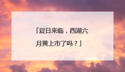 夏日来临，西湖六月黄上市了吗？