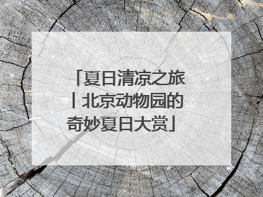 夏日清凉之旅丨北京动物园的奇妙夏日大赏