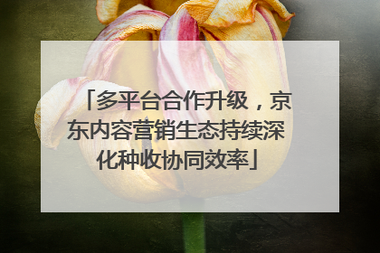 多平台合作升级，京东内容营销生态持续深化种收协同效率