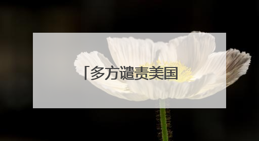多方谴责美国否决安理会加沙停火草案