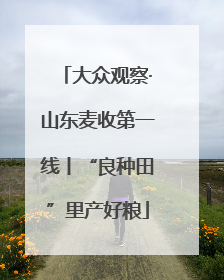 大众观察·山东麦收第一线丨“良种田”里产好粮