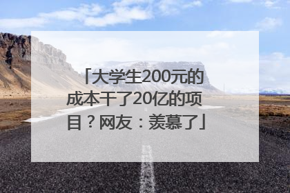 大学生200元的成本干了20亿的项目？网友：羡慕了
