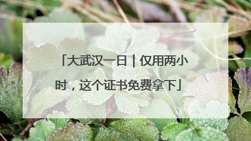 大武汉一日｜仅用两小时，这个证书免费拿下