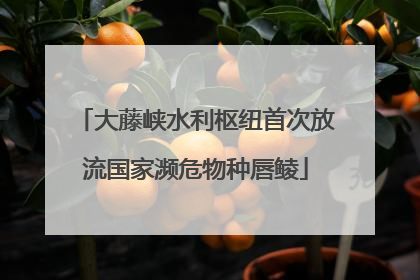 大藤峡水利枢纽首次放流国家濒危物种唇鲮