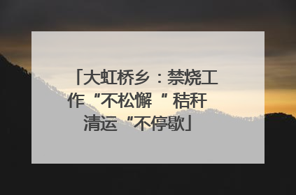 大虹桥乡：禁烧工作“不松懈“ 秸秆清运“不停歇