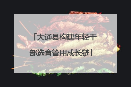 大通县构建年轻干部选育管用成长链