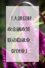 大通县财政金融政策联动稳就业促创业