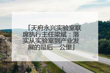 天府永兴实验室联席执行主任梁斌：落实从实验室到产业发展的最后一公里