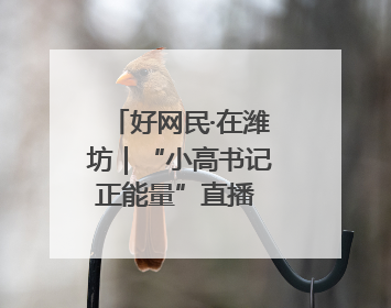 好网民·在潍坊｜“小高书记正能量”直播 带动群众致富