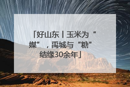 好山东丨玉米为“媒”，禹城与“糖”结缘30余年