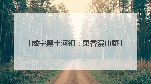 威宁黑土河镇：果香漫山野