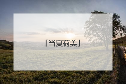当夏荷美
